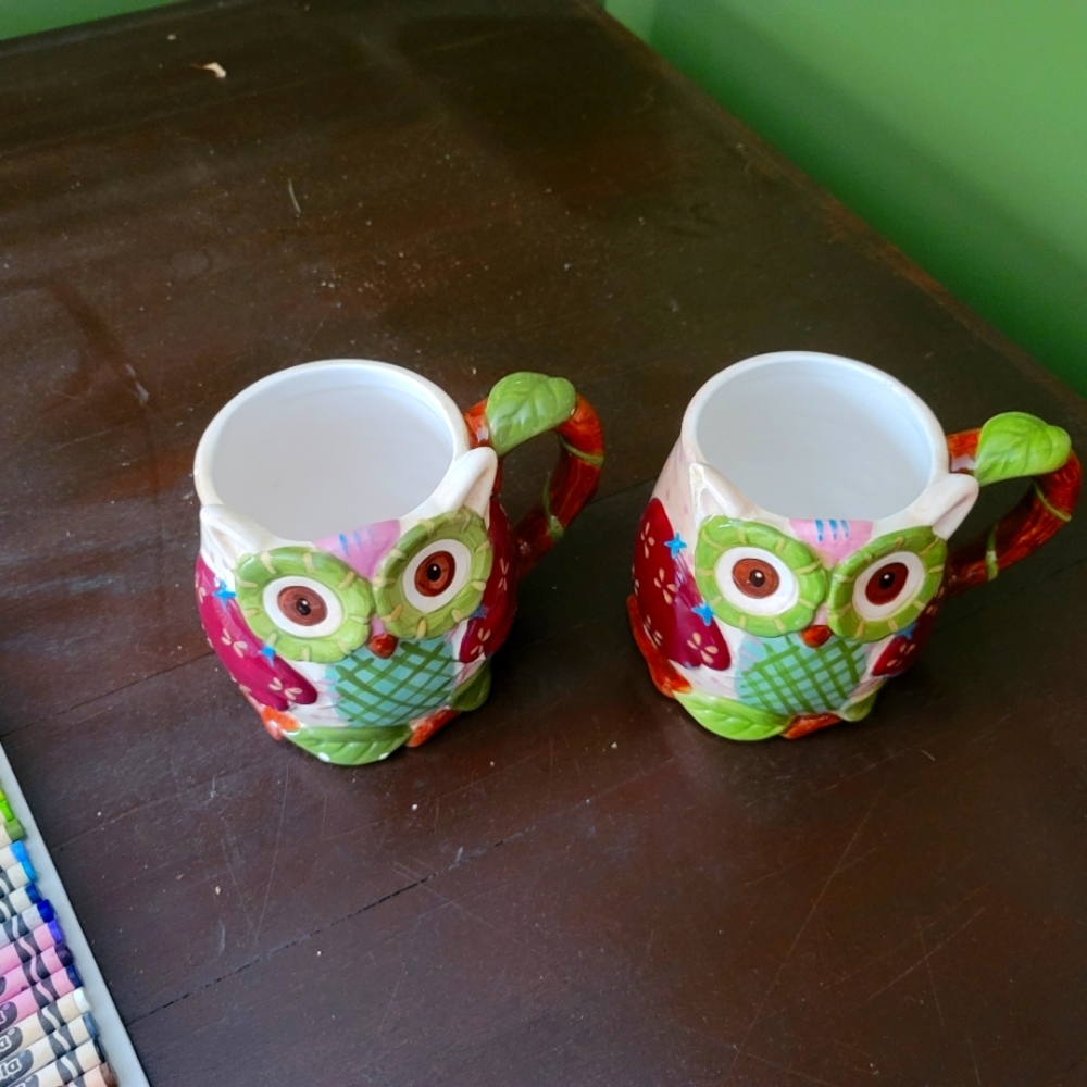 2 pier one Large matching owl coffee mugs price is for both together